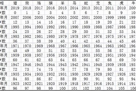 属马2023年几岁|属马的出生年份表年龄